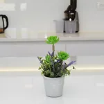 Milena Apartment