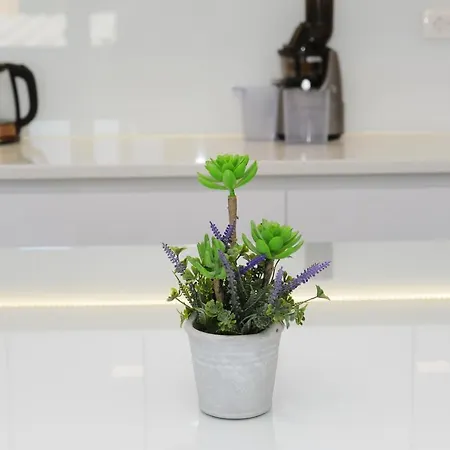 Milena Apartment